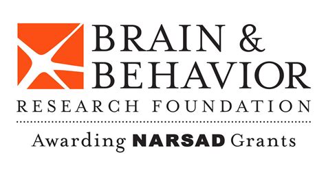 brain and behavior research foundation grant